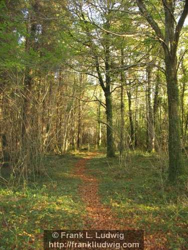 Coole Park, County Galway